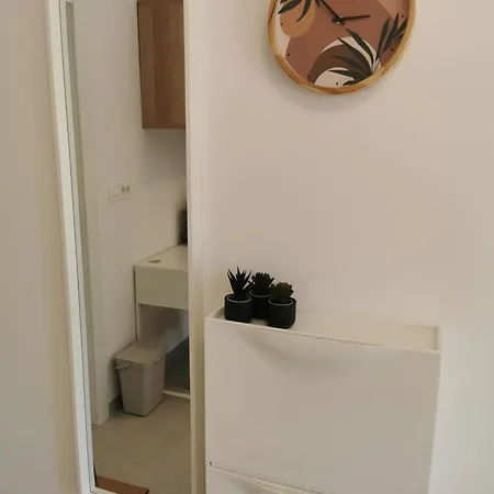& Aleksandra 拉布